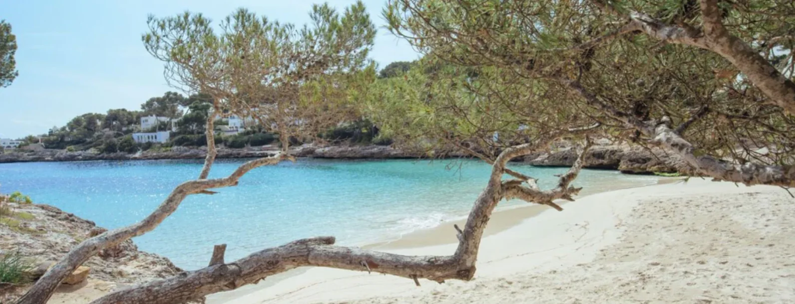 Cala Petita near Pinsi's Picnic in Cala d'Or Cala Petita near Pinsi's Picnic in Cala d'Or